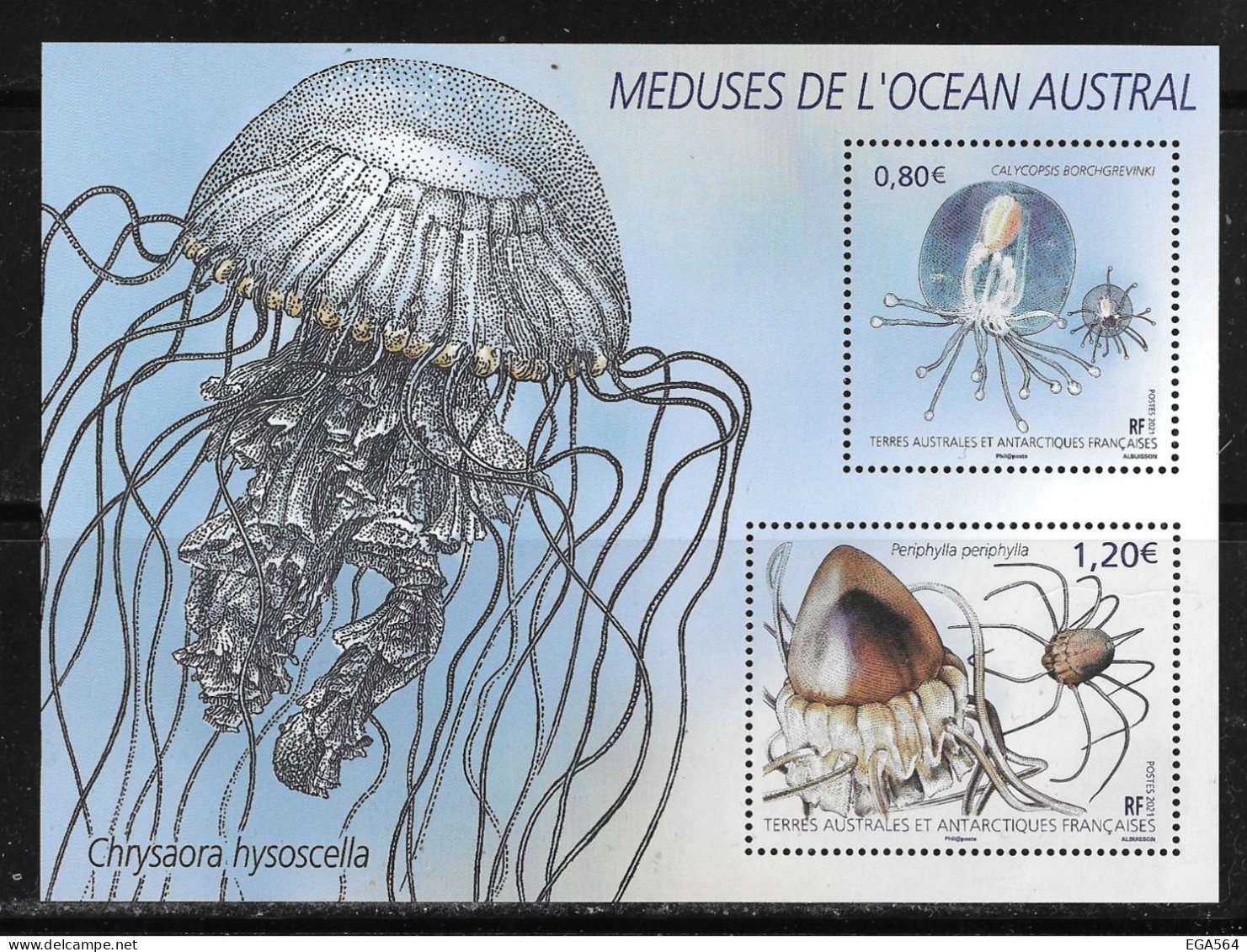 CN6 - Y&T F963**MNH De 2021 - MEDUSES De L' OCEAN AUSTRAL - Faune - - Nuovi