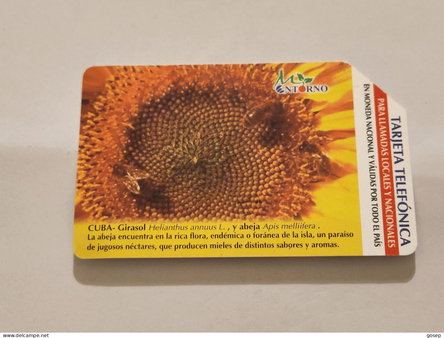 CUBA-(CU-ETE-URM-031)-Sunflower 2-URMET-(52)-(5.00 Pesos)-(501051841)-used Card+1card Prepiad Free - Cuba