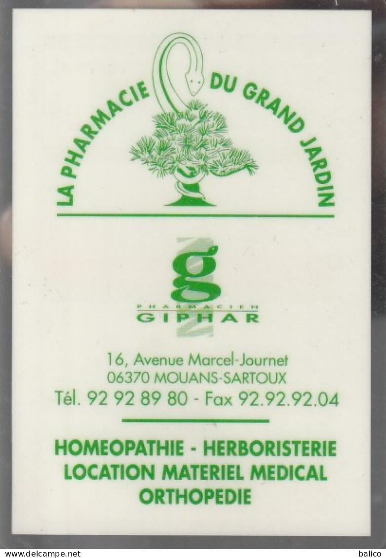 Calendrier  1996  -  Pharmacie Du Grand Jardin - 16 Avenue Marcel-Journet - Mouans-Sartoux - Groot Formaat: 1991-00