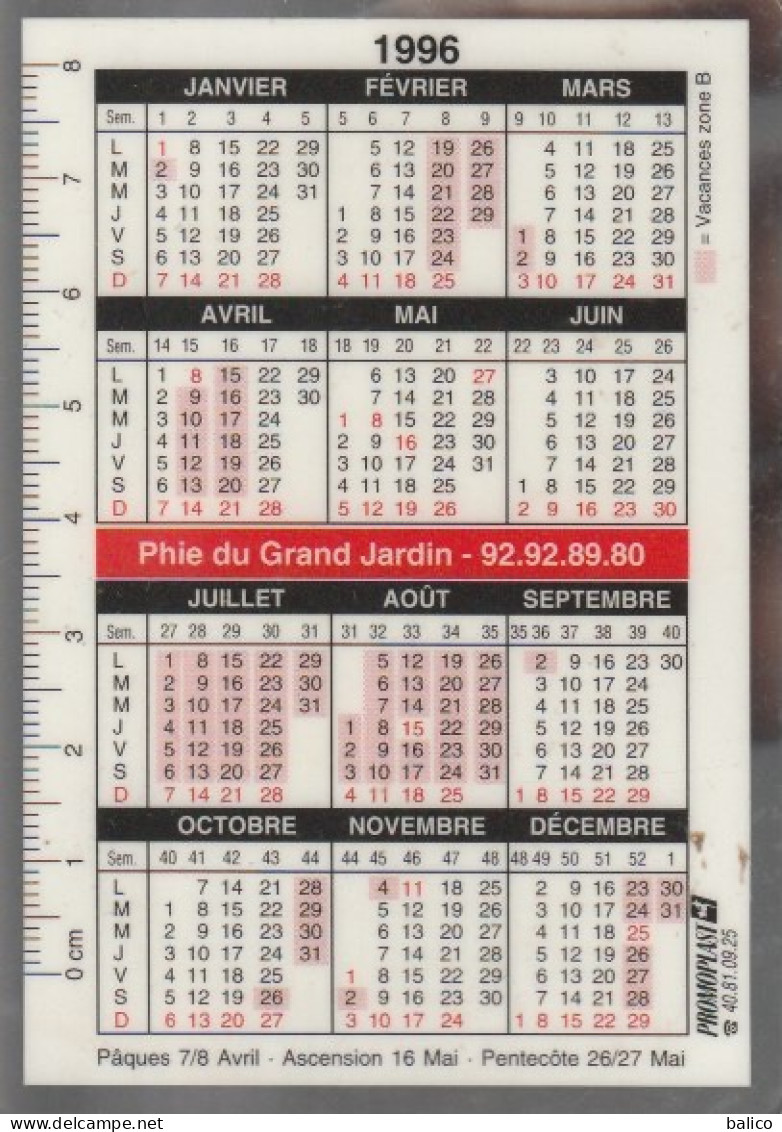 Calendrier  1996  -  Pharmacie Du Grand Jardin - 16 Avenue Marcel-Journet - Mouans-Sartoux - Big : 1991-00