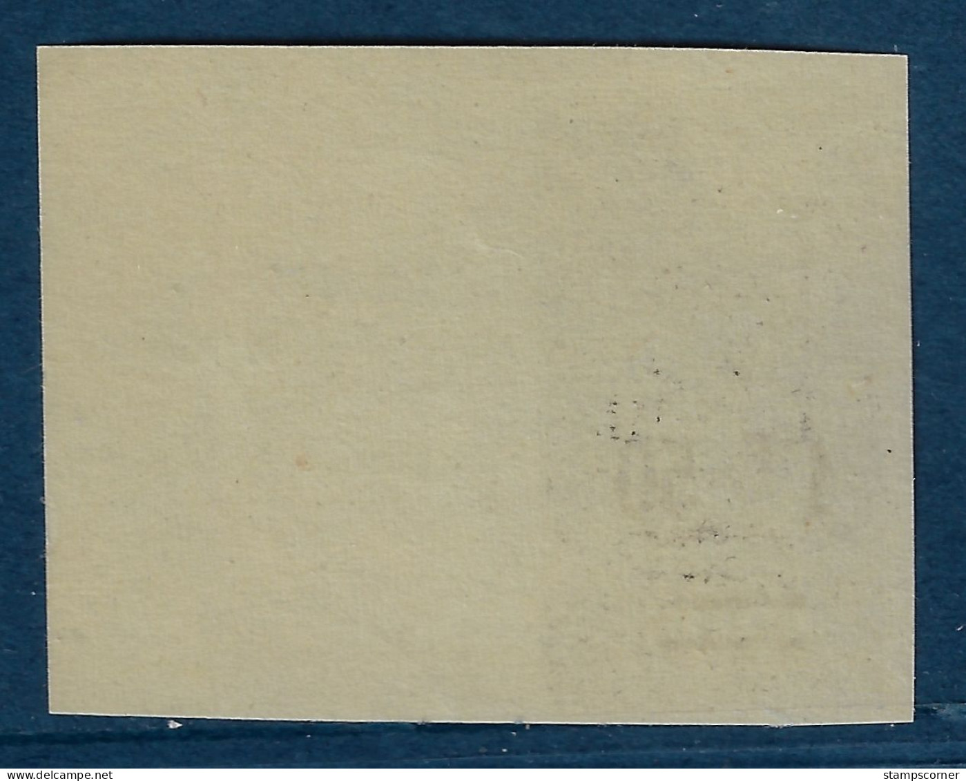 Colis Postal 17c ** Neuf Sans Charnière Bord De Feuille (scan Recto / Verso) - Paketmarken
