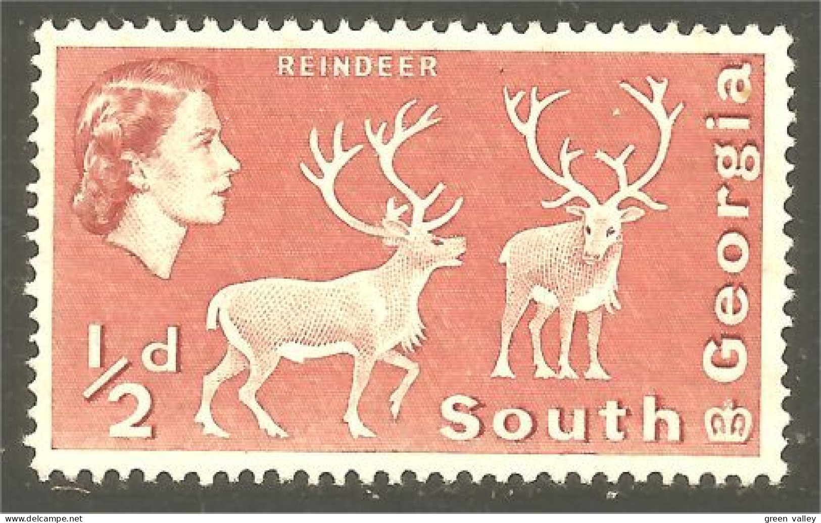 XW01-1363 South Georgia Reindeer Renne Rentier Reno No Gum - South Georgia