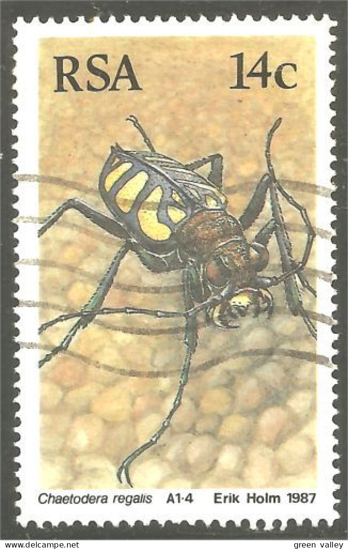 XW01-1266 South Africa Insekt Insect Insecte - Usati