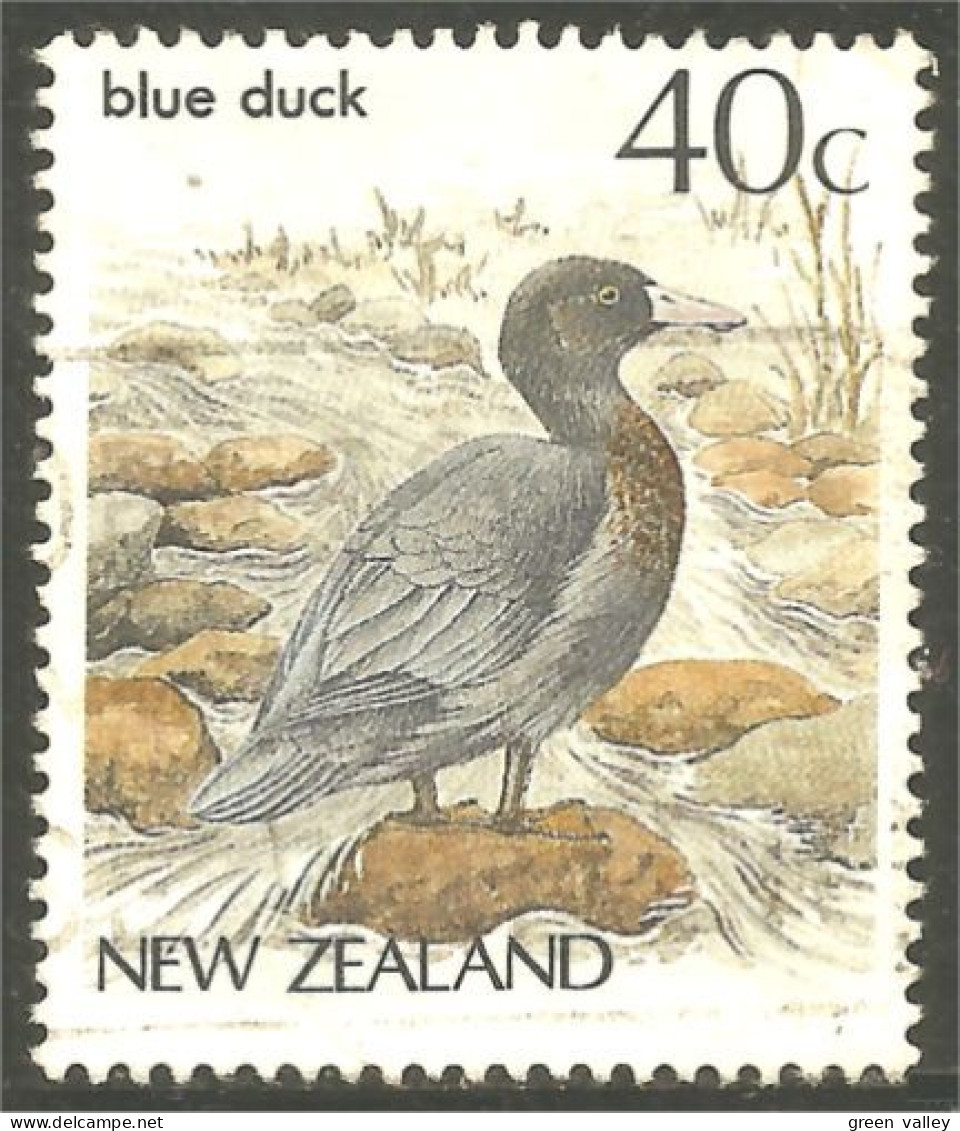 XW01-1013 New Zealand Oiseau Canard Bleu Blue Duck Bird Ente Anatra Pato - Entenvögel