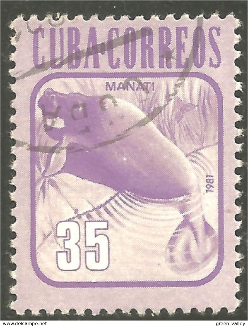XW01-1967 Cuba Manatee Lamantin Manati Seekuh - Kühe
