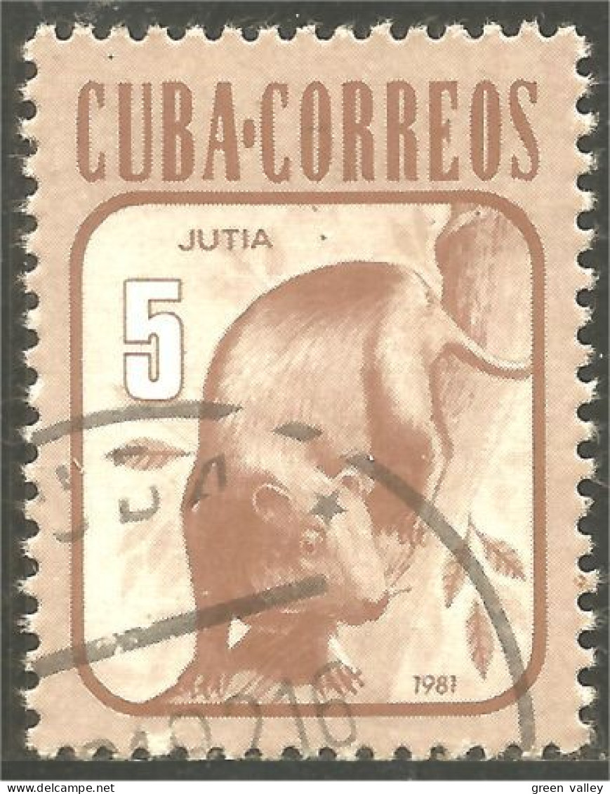 XW01-1963 Cuba Jutia Hutia Hutie Animal Rat Rodent Rongeur Nagetier - Roedores