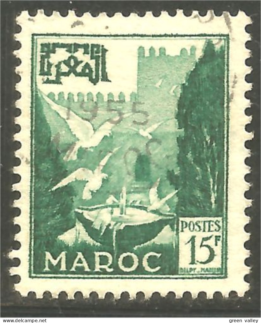 XW01-1902 Maroc Mouettes Move Gulls 15f Vert - Gabbiani