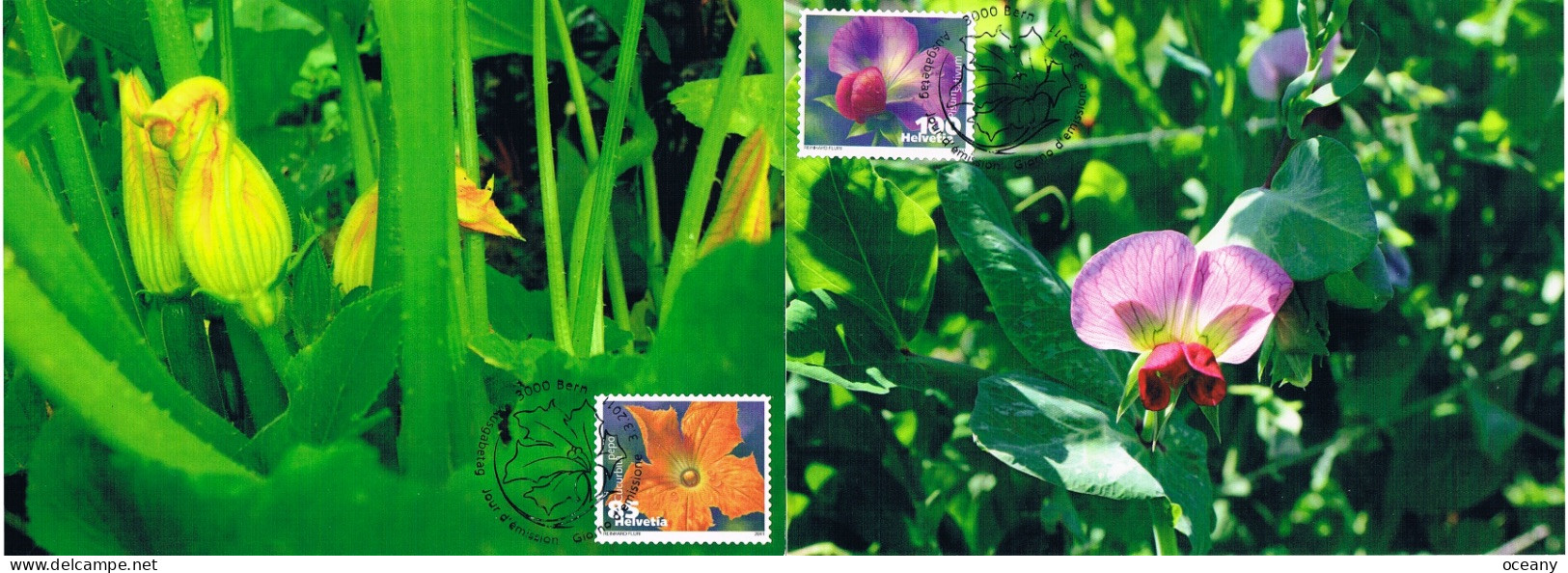 Suisse - Légumes En Fleurs CM 2120/2123 (année 2011) - Maximumkaarten