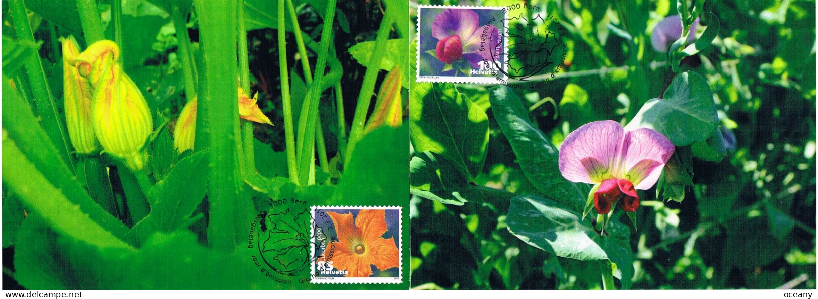 Suisse - Légumes En Fleurs CM 2120/2123 (année 2011) - Maximum Cards