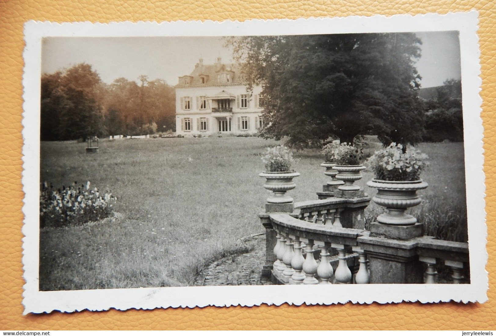 SAINTES  -  Le Château De Mussin - Tubize