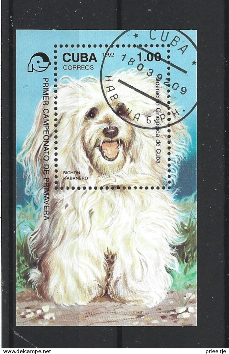 Cuba 1992 Dogs S/S Y.T. BF 129 (0) - Hojas Y Bloques