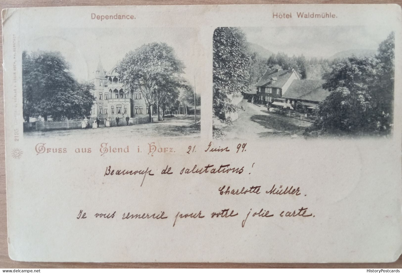 Gruss Aus Elend I. Harz, Hotel Waldmühle, Dependance, 1899 - Autres & Non Classés
