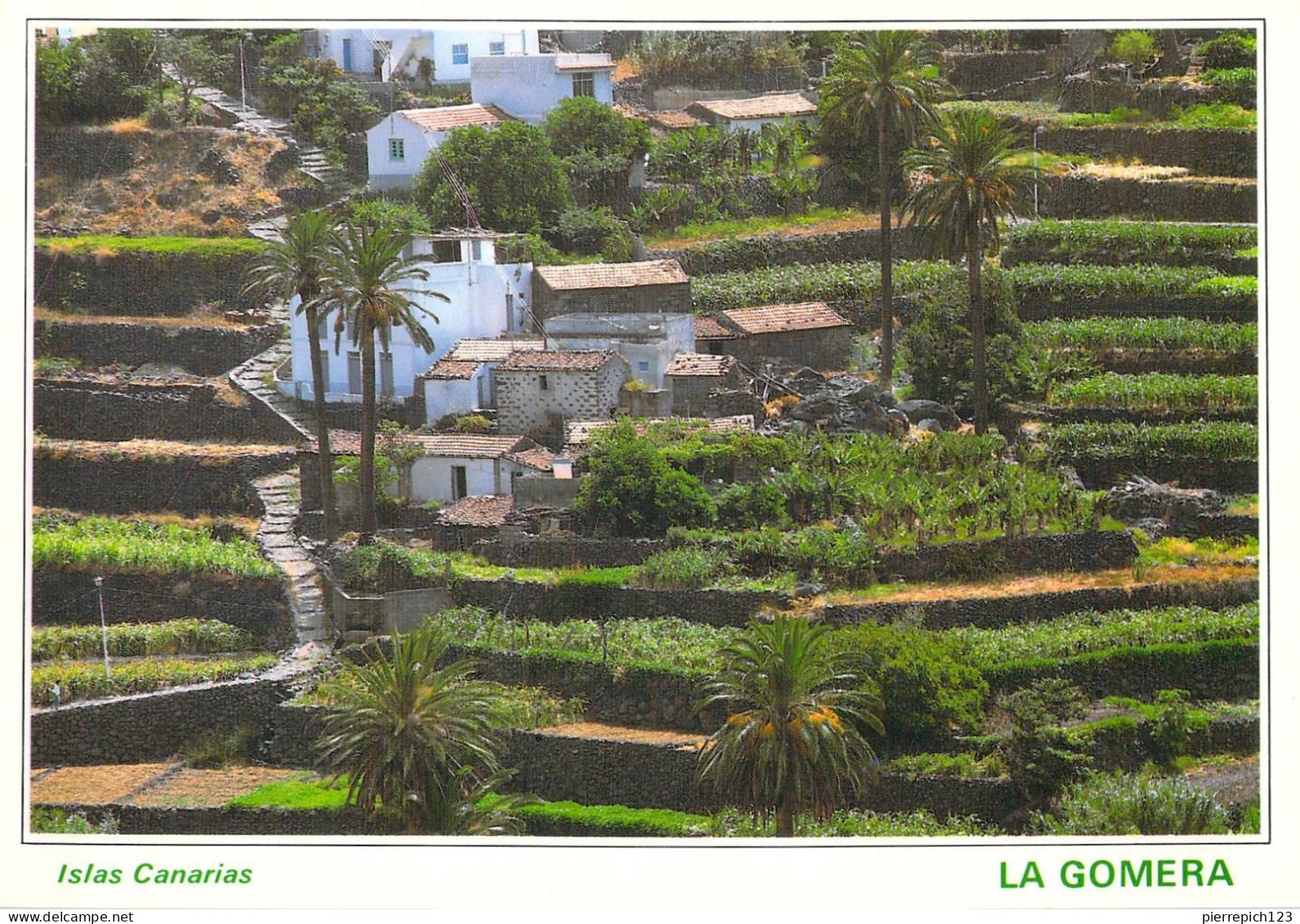 La Gomera - Cultures En Terrasse - Andere & Zonder Classificatie