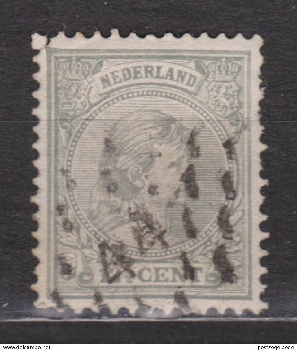 NVPH Nederland Netherlands Pays Bas Niederlande Holanda 38 CANCEL 's GRAVENHAGE Puntstempel 44 ; Wilhelmina 1891 - Usados