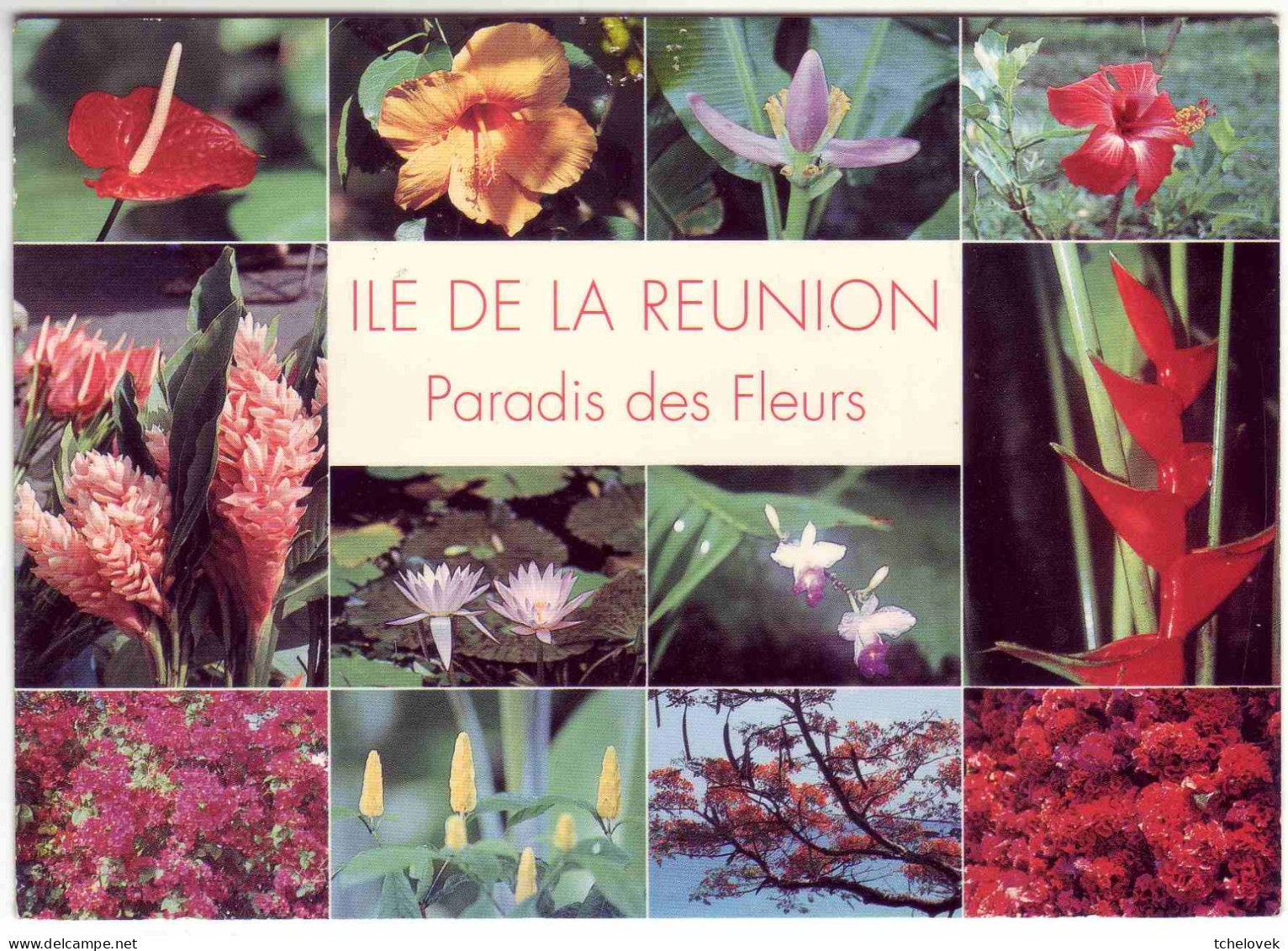 Ile De La Reunion Ed Clin D'oeil Paradis Des Fleurs écrite 2000 - Saint Pierre