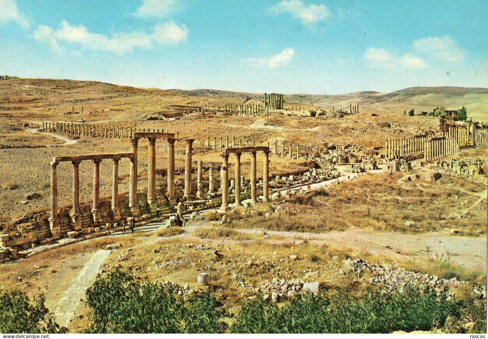 CPM - J - JORDANIE - JERASH - LA RUE DES COLLONADES - Jordan