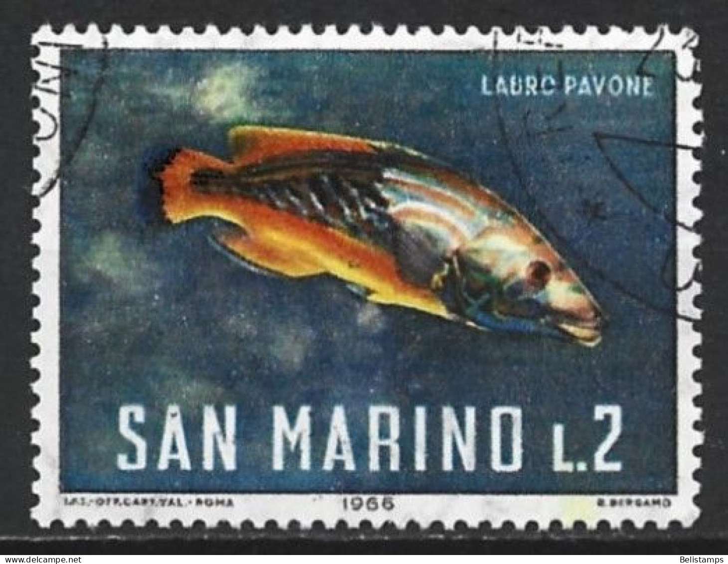 San Marino 1966. Scott #644 (U) Fish, Cuckoo Wrasse - Usados