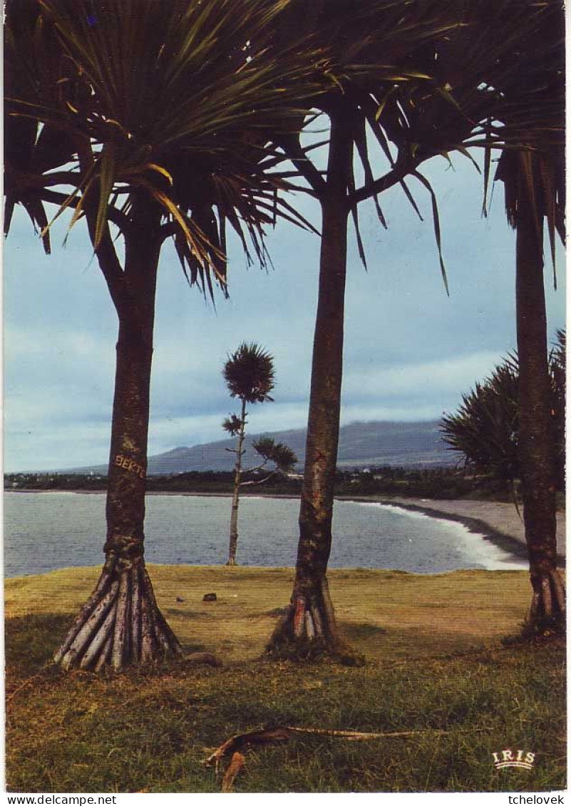 Ile De La Reunion. Ed Hachette N° 7607. Marine Saint Benoit - Saint Benoît