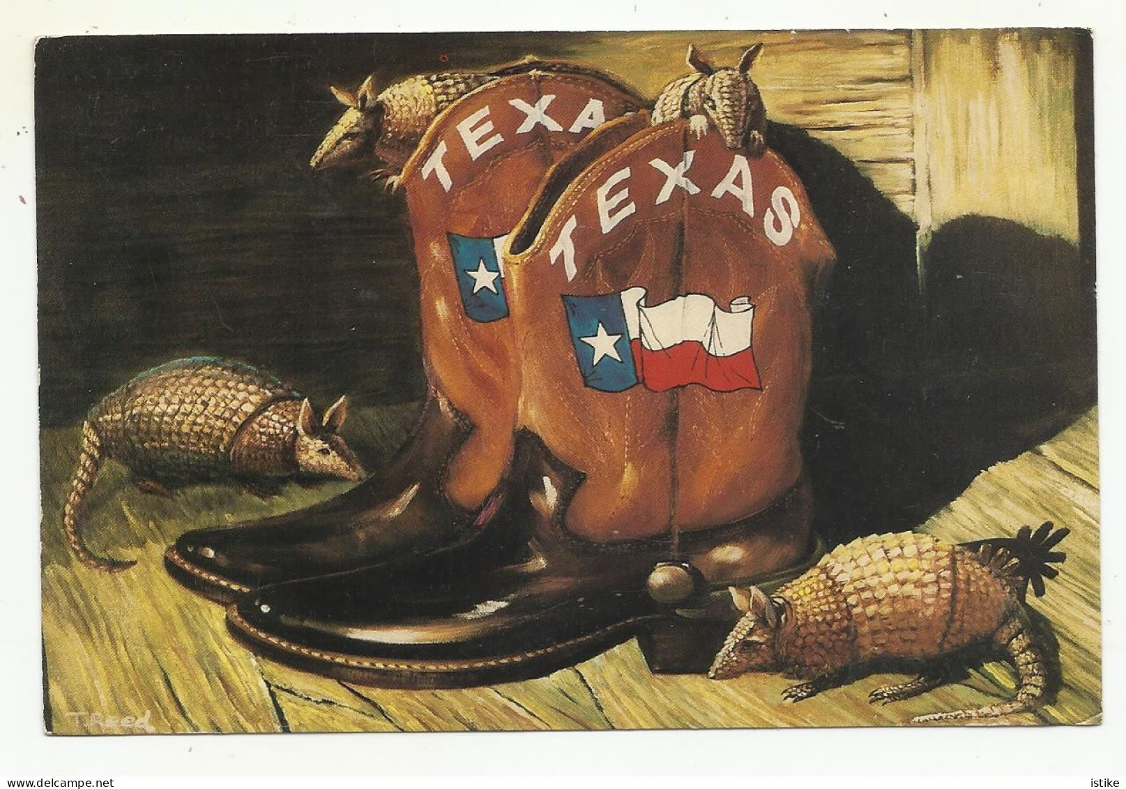 United States, Texas, Cowboy Boots With Armadillos, 1987. - Mode