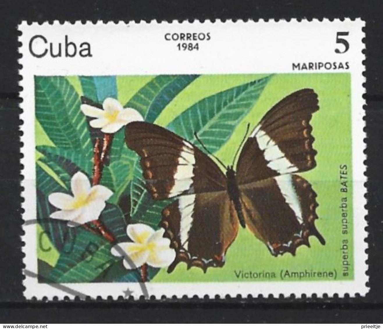 Cuba 1984 Butterfly Y.T. 2518 (0) - Usados