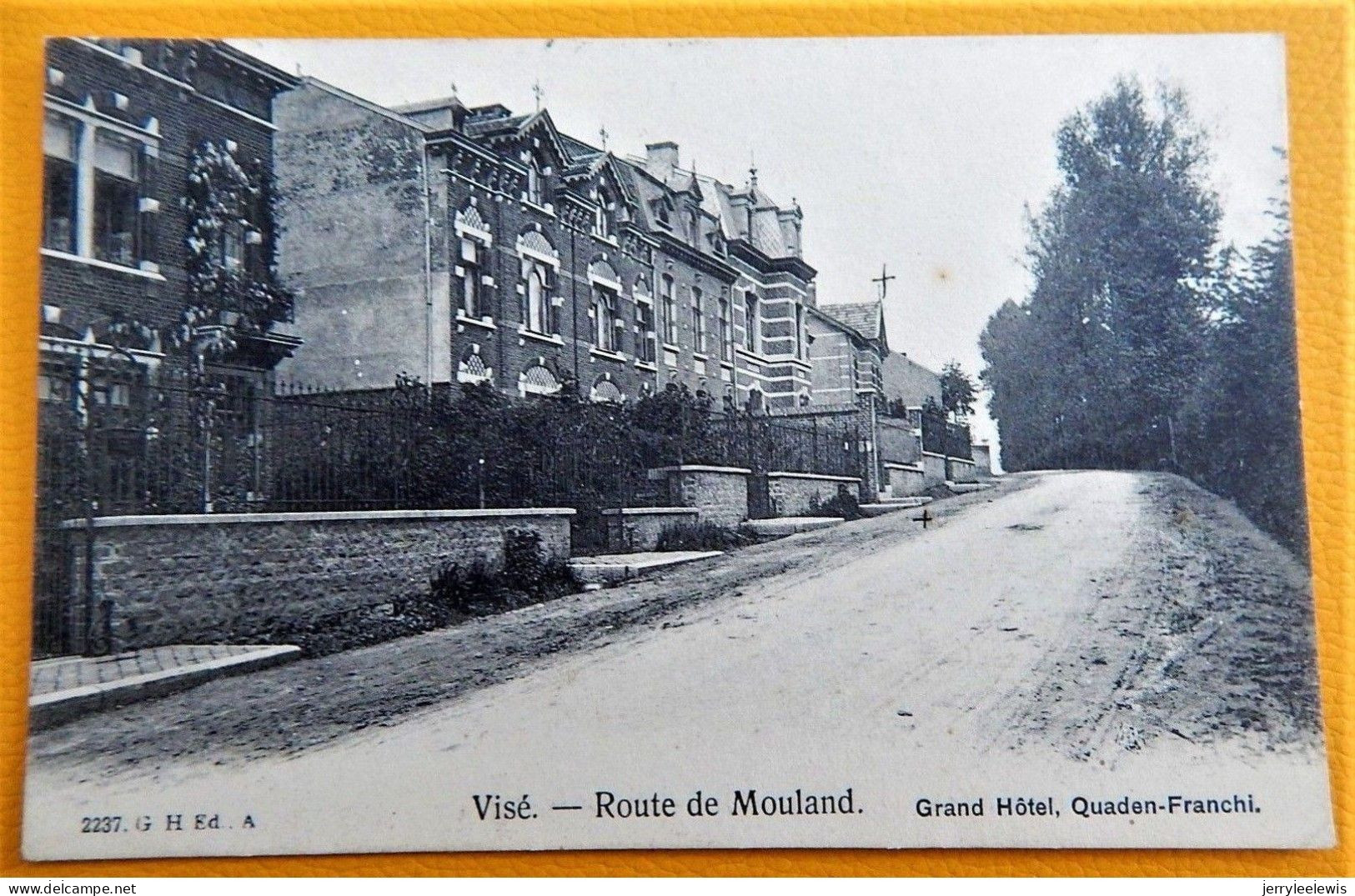 VISE  -  Rue De Mouland  - Grand Hôtel  Quaden-Franchi  -  1907 - Visé