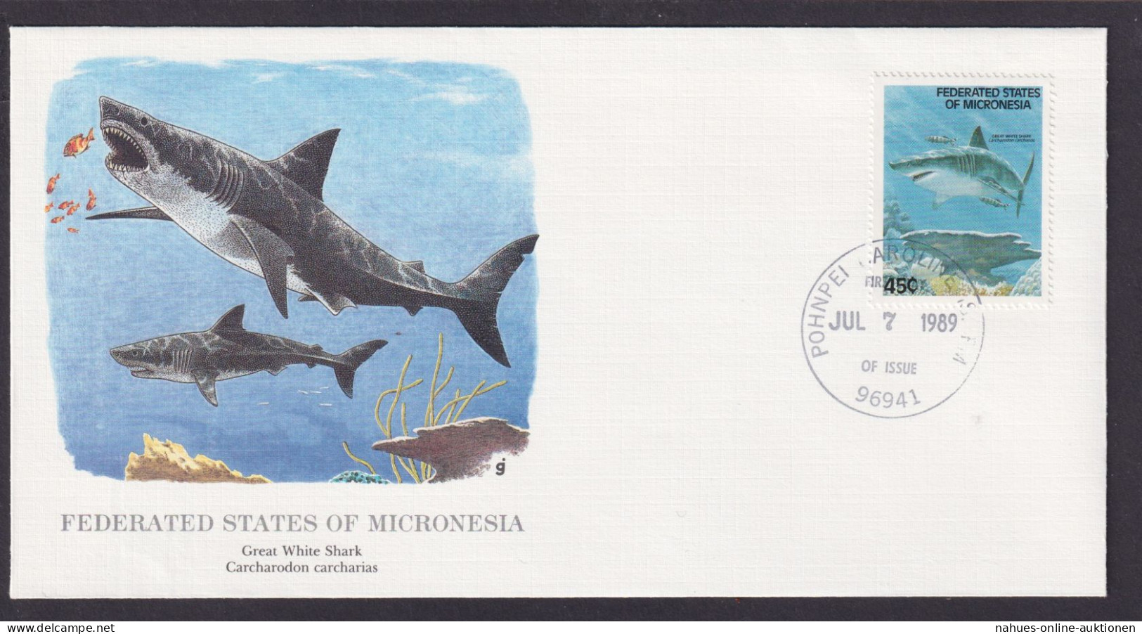 Föderierte Staaten Von Micronesia Pazifischer Ozean Fauna Fische Weißer Hai - Sammlungen (im Alben)