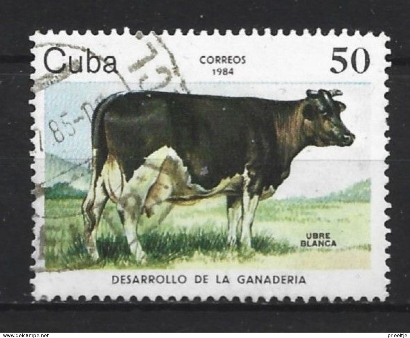 Cuba 1982  Fauna Y.T. 2574 (0) - Gebruikt