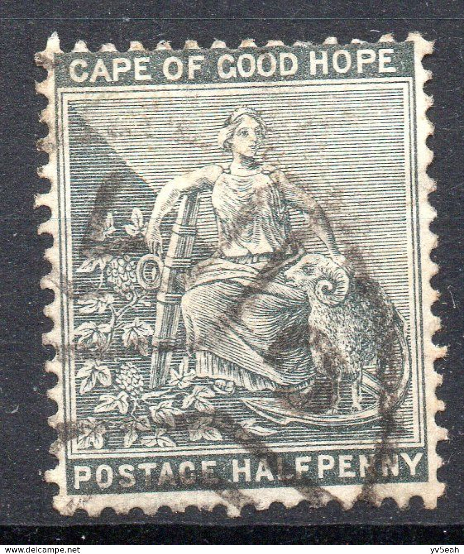 CAPE OF GOOD HOPE/1886/USED/SC#41/HOPE SEATED / 1/2p GRAY BLACK - Cap De Bonne Espérance (1853-1904)