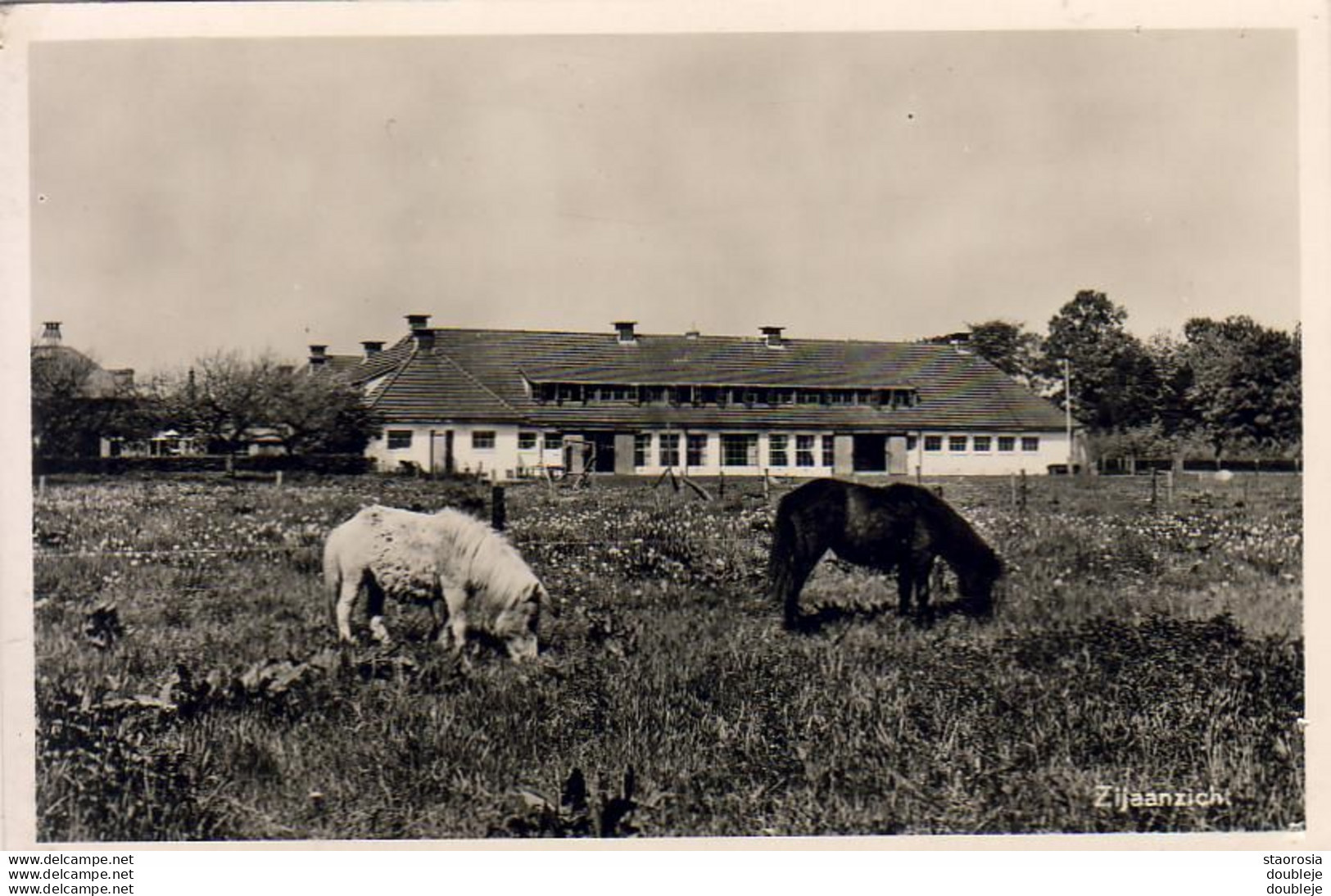 PAYS BAS  Int Nat Jeugdcentrum De Haarscamp HARSKAMP  Zijaanzicht    .........  Echte Foto - Ede