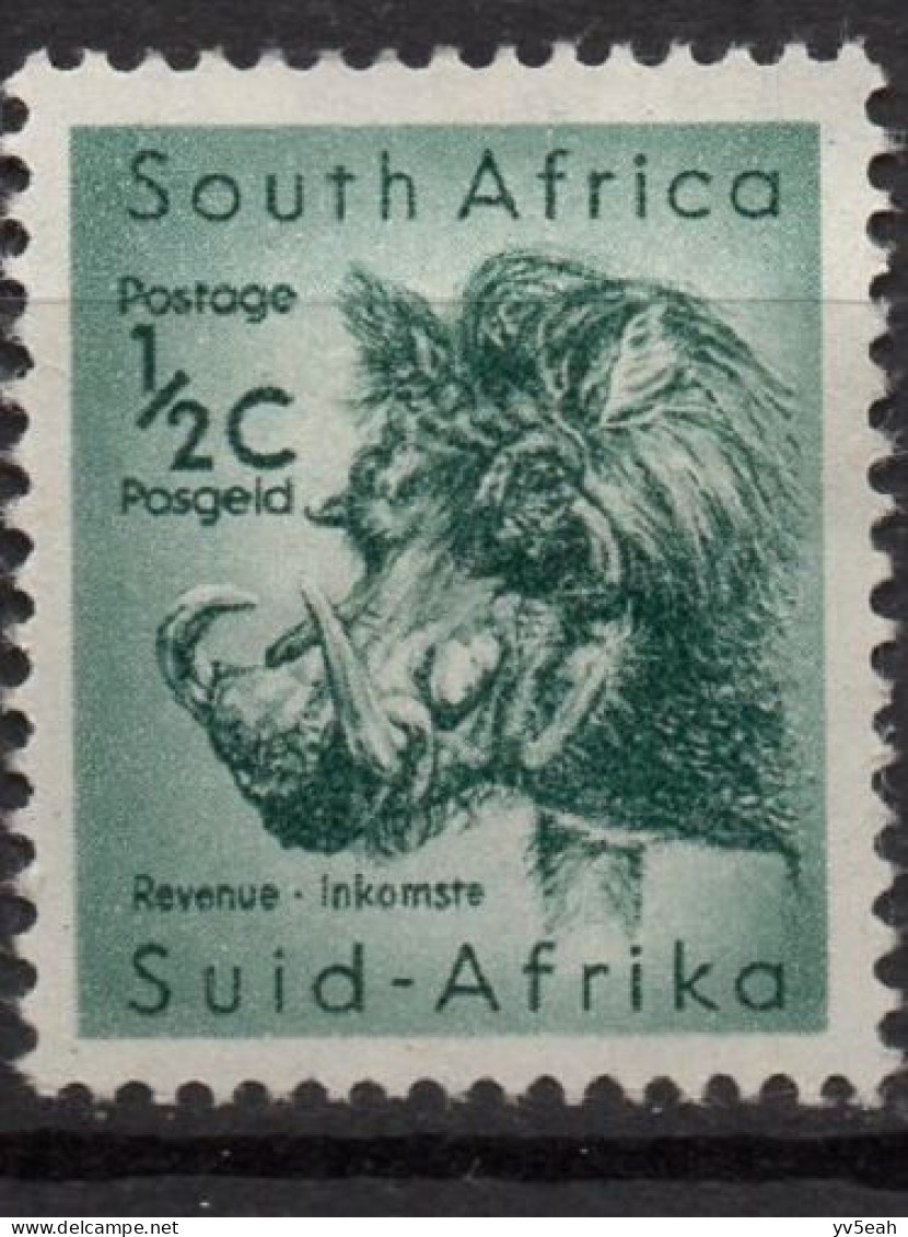 SOUTH AFRICA/1954/MH/SC#200/ WHART HOG / ANIMALS / 1/2p - Nuovi