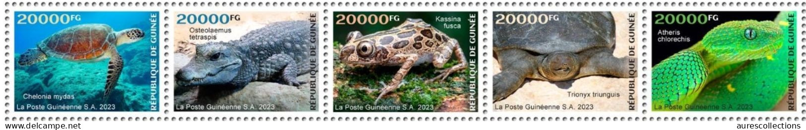GUINEA GUINEE 2023 STRIP 5V - REPTILES FROGS TURTLES TURTLE CROCODILES SNAKES TORTUES SERPENTS - MNH - Rane