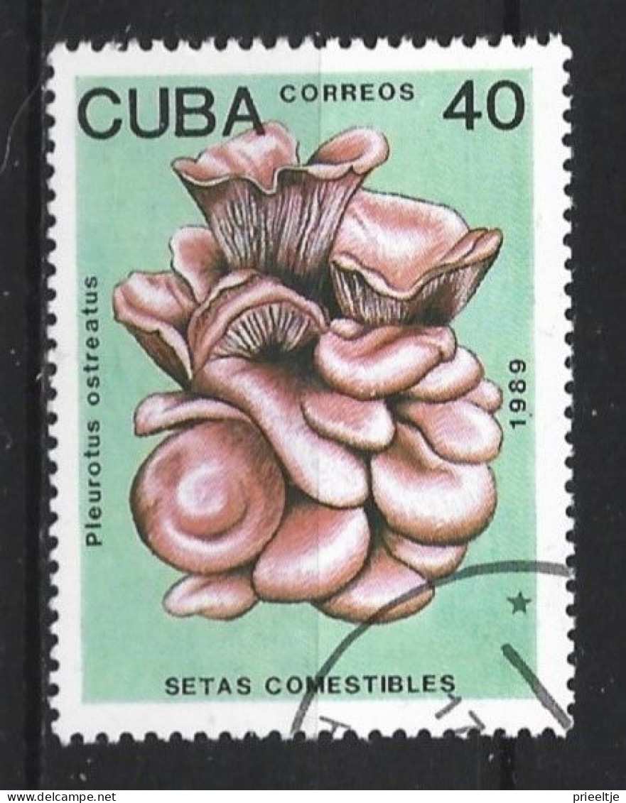 Cuba 1989 Flower Y.T. 2911 (0) - Gebruikt