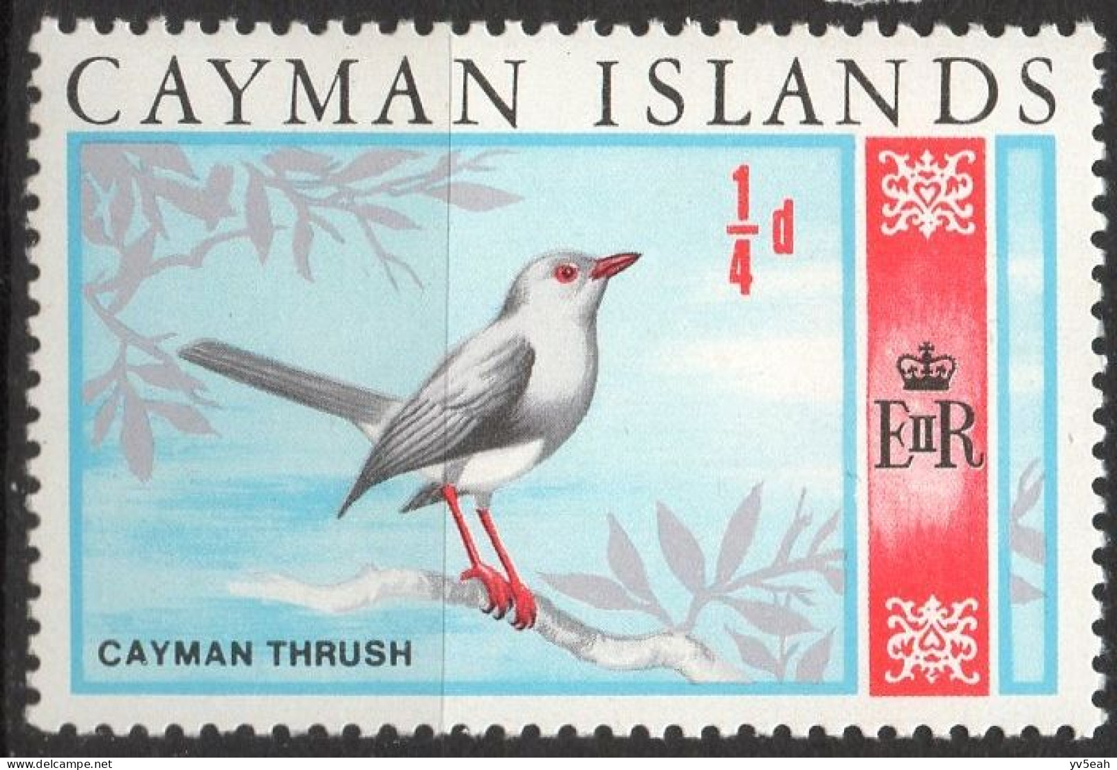 CAYMAN ISLAND/1969/MNH/SC#210/ GRAND CAYMAN THRUSH / BIRDS / 1/4p - Cayman Islands