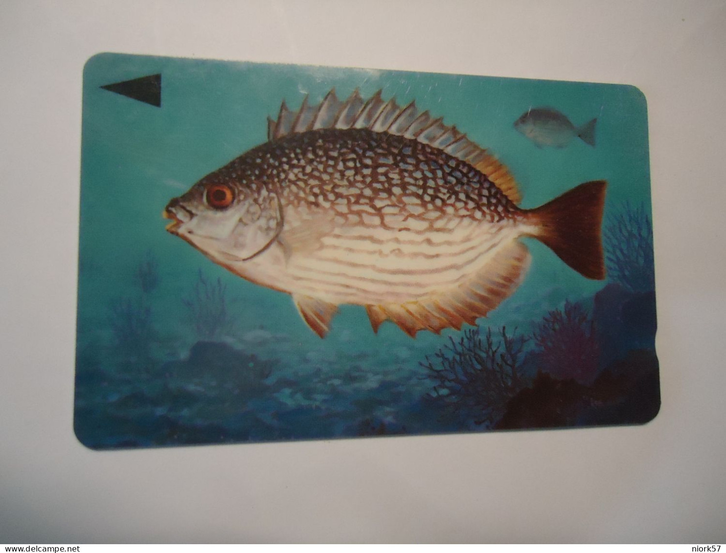 BAHRAIN   USED  CARDS  FISH FISHES  MARINE LIFE - Peces