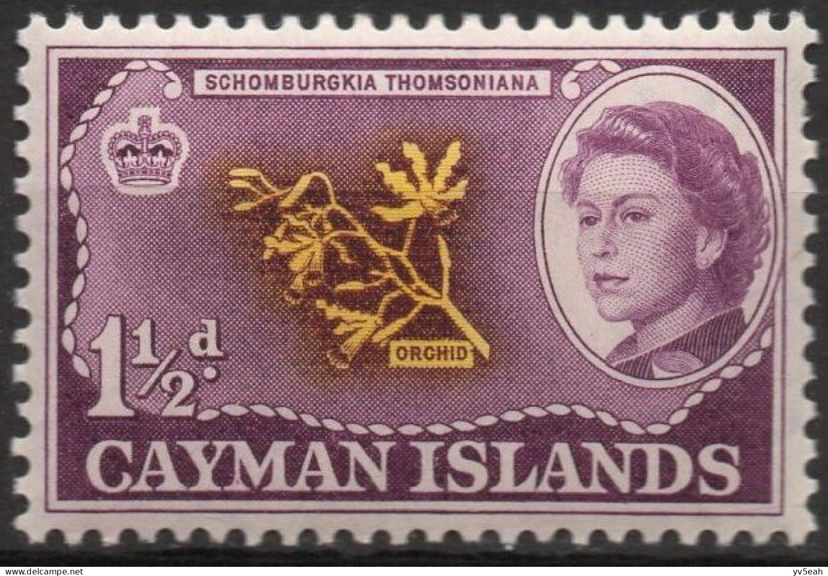 CAYMAN ISLAND/1962/MNH/SC#155/QUEEN ELIZABETH II  /QEII / 1 1/2p ORCHID / FLOWERS - Cayman (Isole)