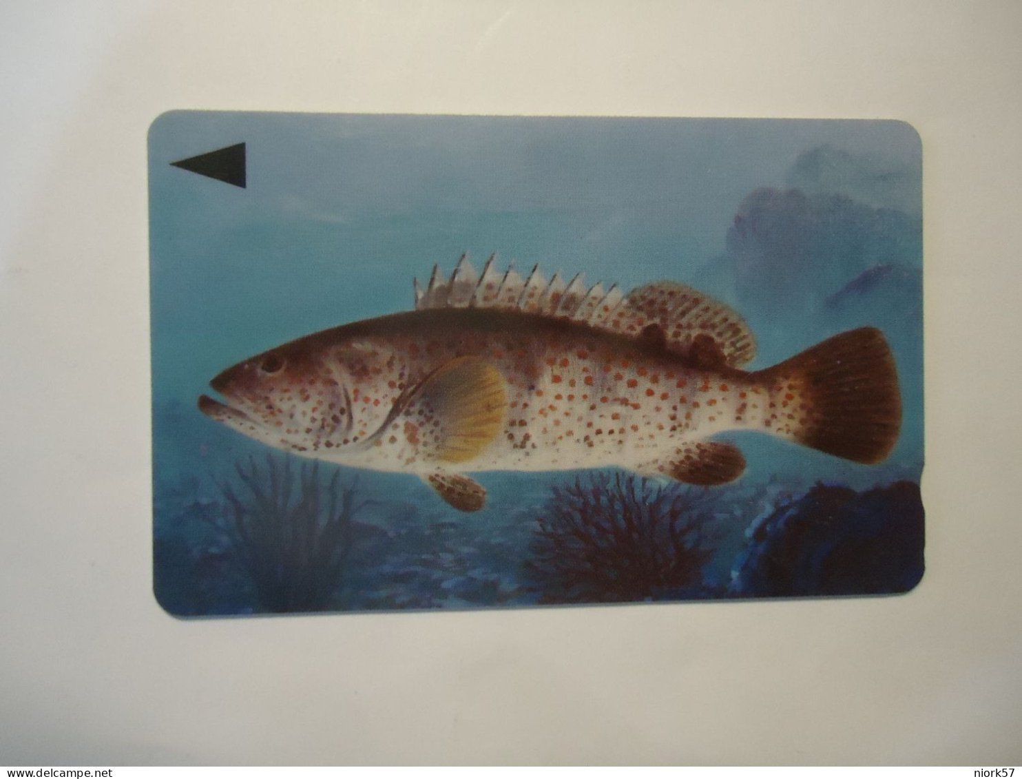 BAHRAIN   USED  CARDS  FISH FISHES  MARINE LIFE - Poissons