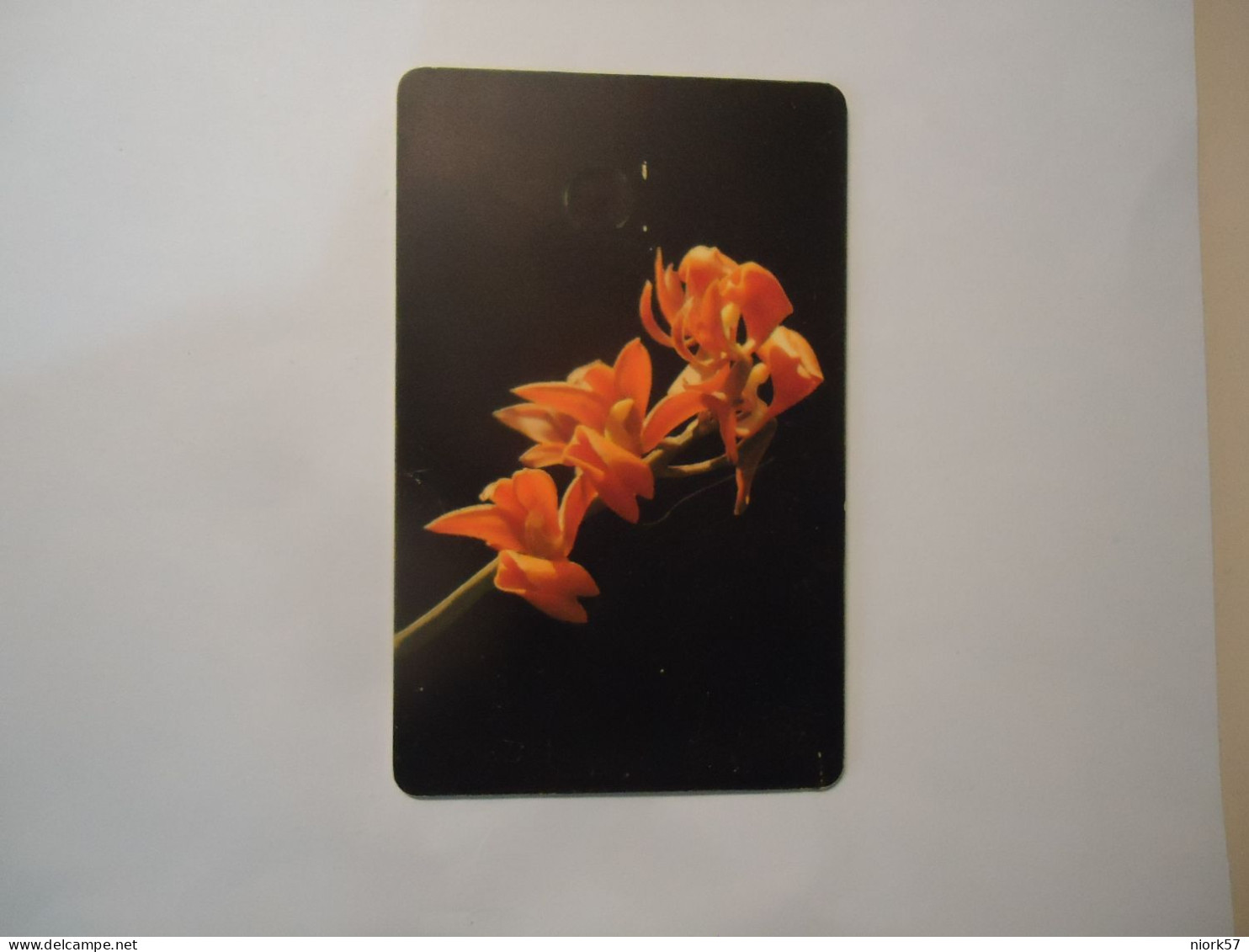 VENEZUELA  USED  CARDS  FLOWERS PLANTS - Bloemen