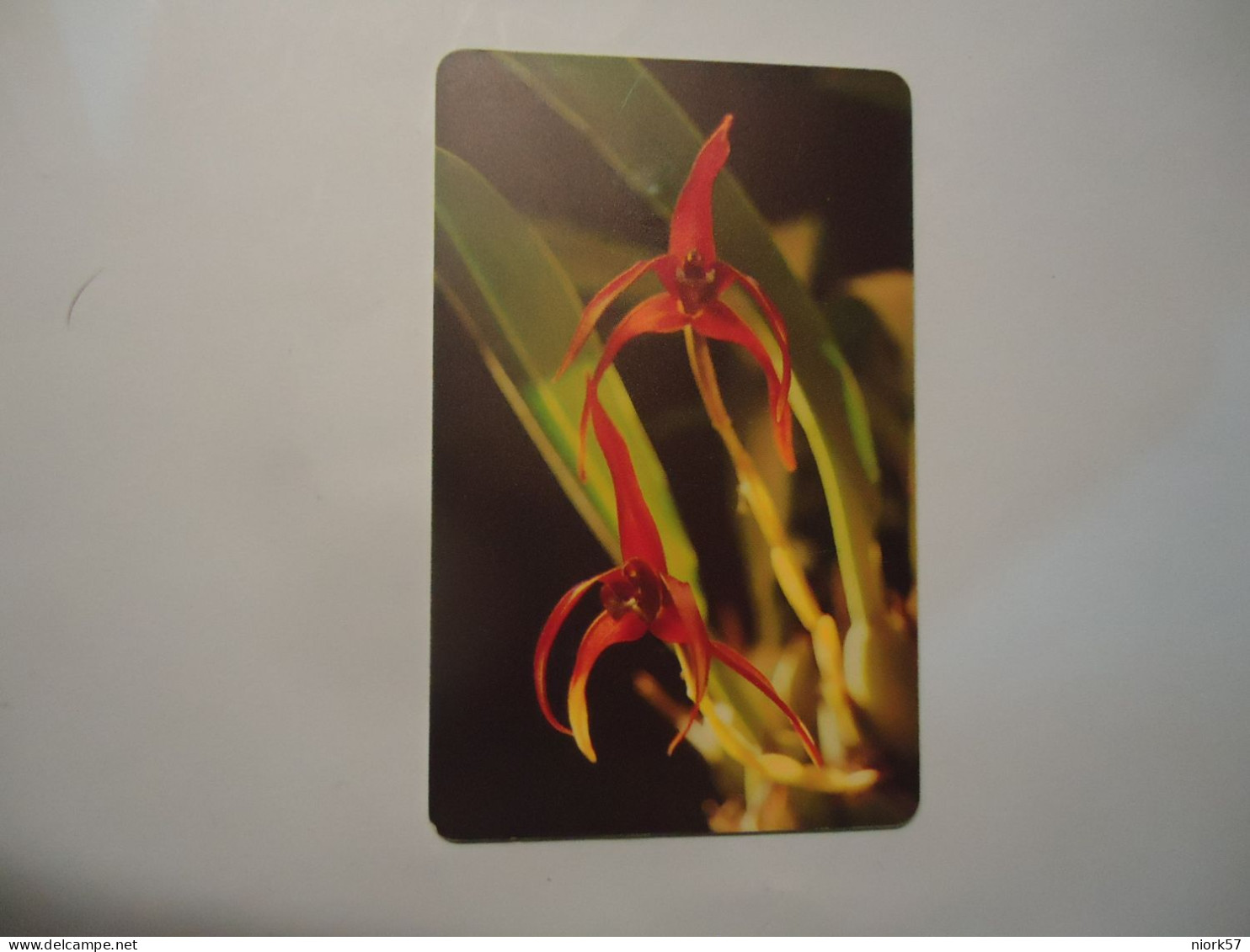 VENEZUELA  USED  CARDS  FLOWERS PLANTS - Flores