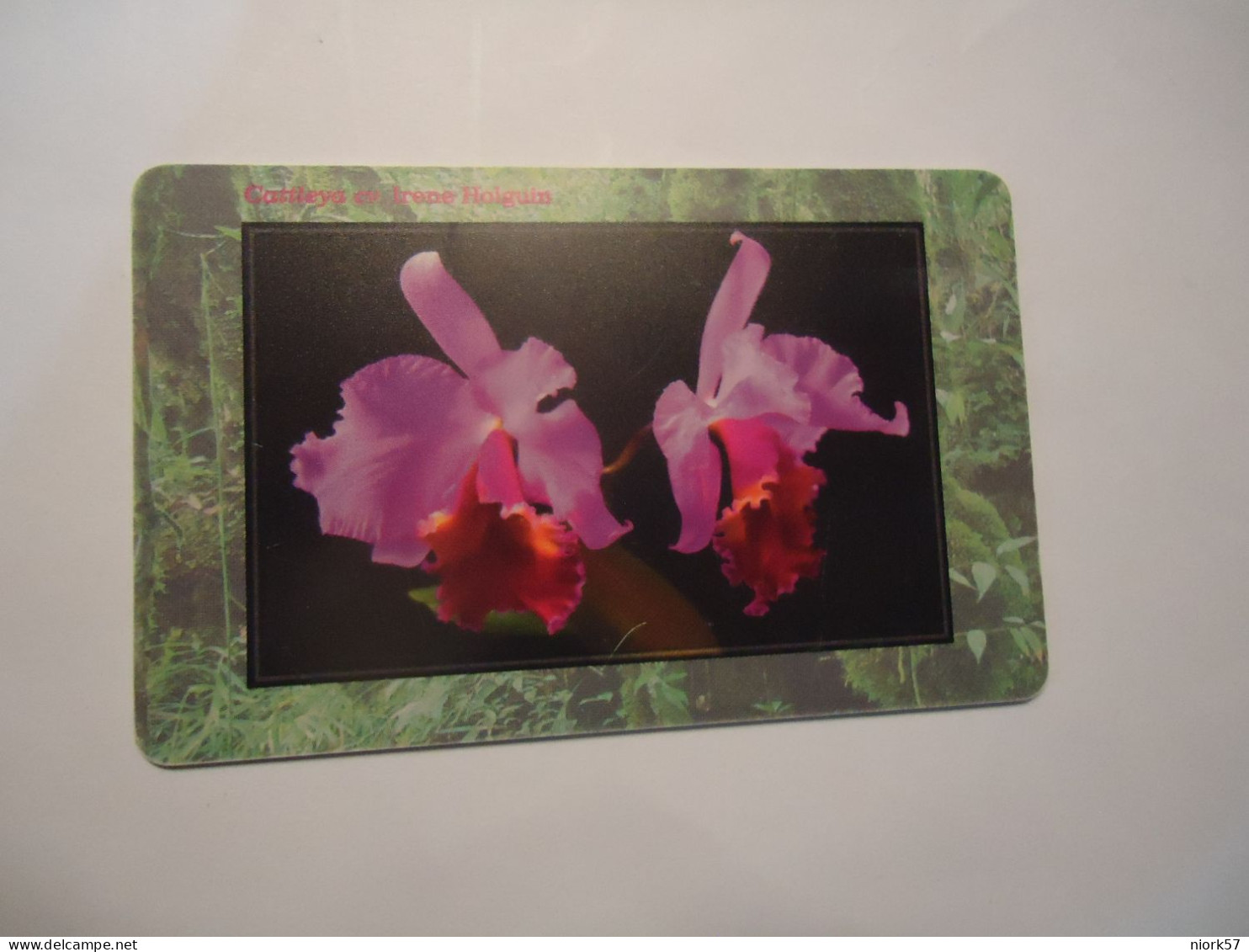 CZECH  USED  CARDS  FLOWERS PLANTS  ORHIDS - Fiori