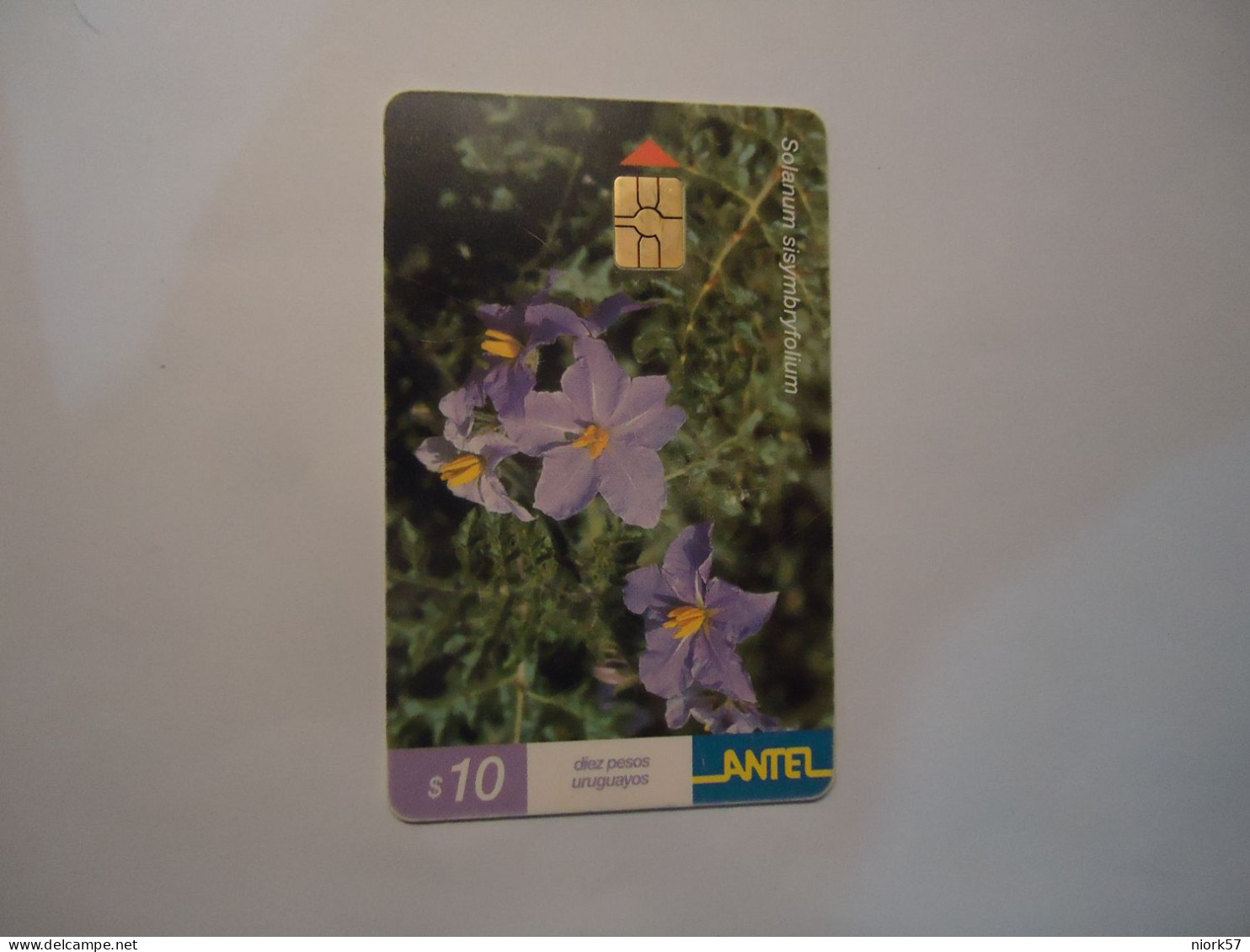 URUGUAY   USED  CARDS  FLOWERS PLANTS - Flowers