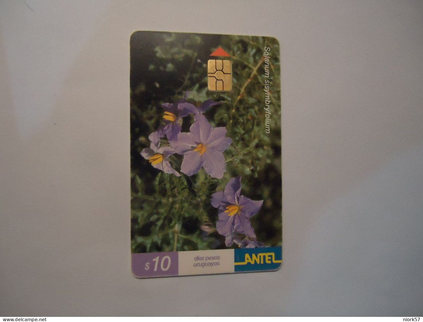URUGUAY   USED  CARDS  FLOWERS PLANTS - Bloemen