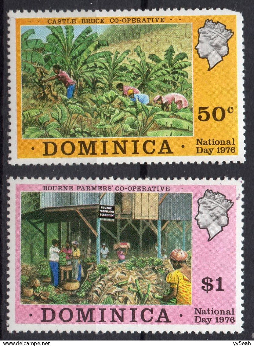 DOMINICA/1976/MNH/SC#511-2/ NATL. DAY / LOCAL CULTURE /PARTIAL SET - Dominica (...-1978)