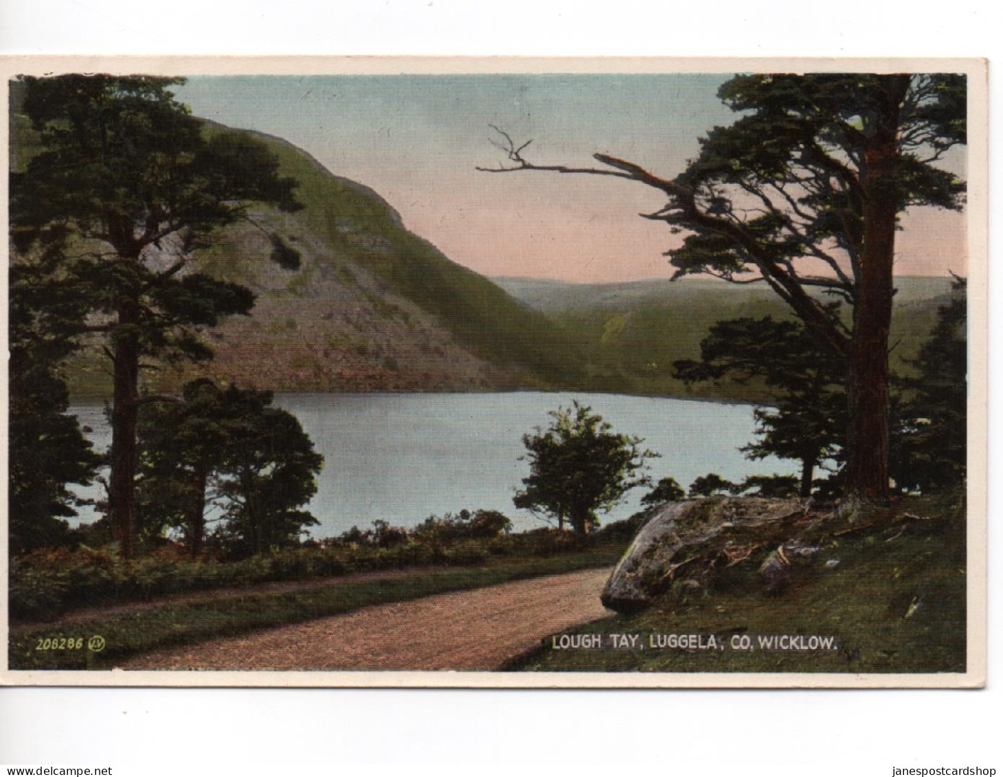 COLOURED POSTCARD - LOUGH TAY - LUGGELA  - COUNTY WICKLOW - IRELAND - Wicklow