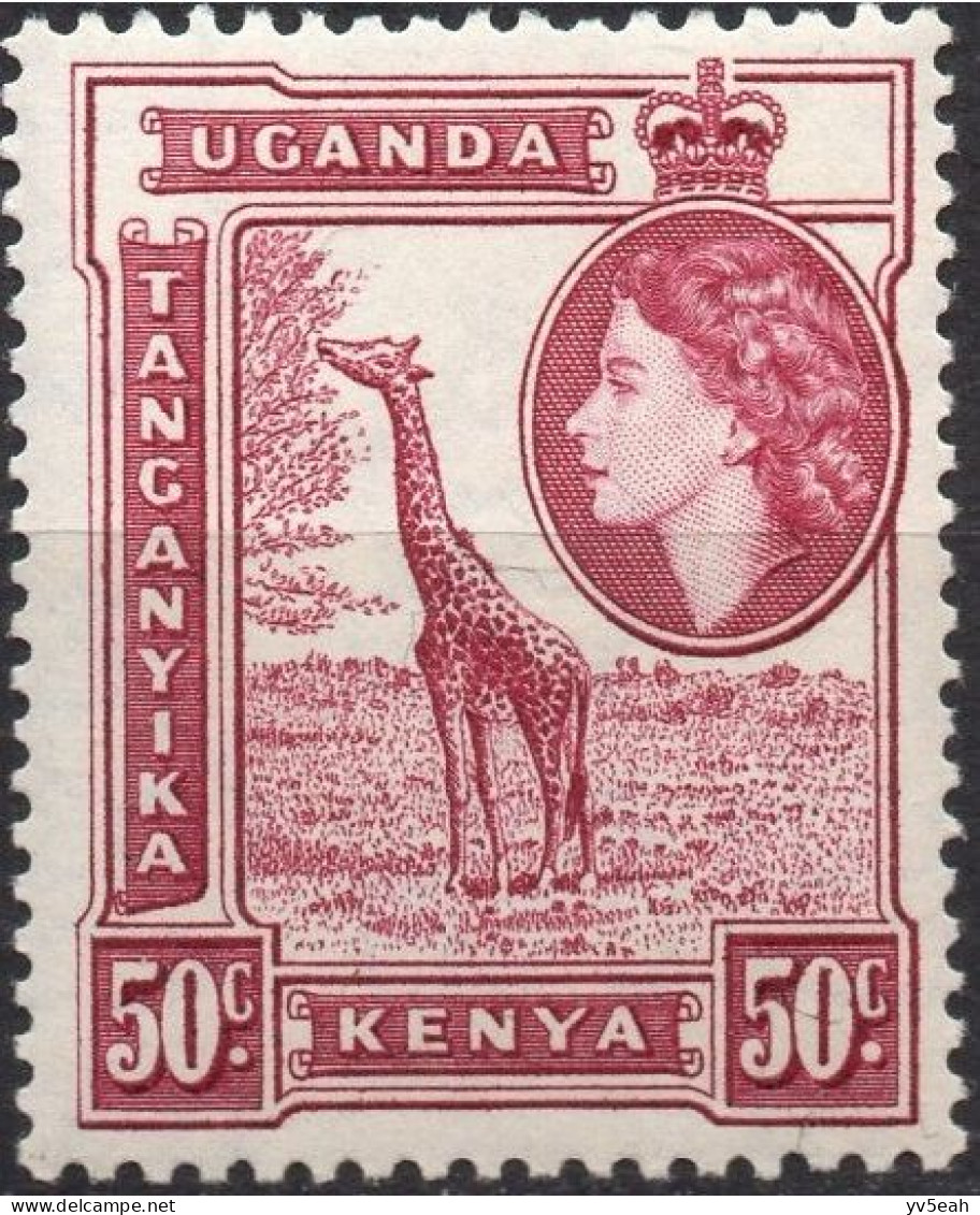 KENYA UGANDA & TANZANIA/1954-9/MH/SC#110/ QUEEN ELIZABETH II/ QEII / PICTORIAL / ANIMALS/ JIRAFFE /50c DP RED LILAC - Kenya, Oeganda & Tanzania