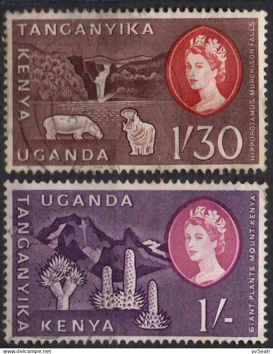 KENYA UGANDA & TANZANIA/1960/USED/SC#129-30/ QUEEN ELIZABETH II/ QEII / GIANTS PLANTS / HIPOPOTAMUS/ PARTIAL SET - Kenya, Oeganda & Tanzania