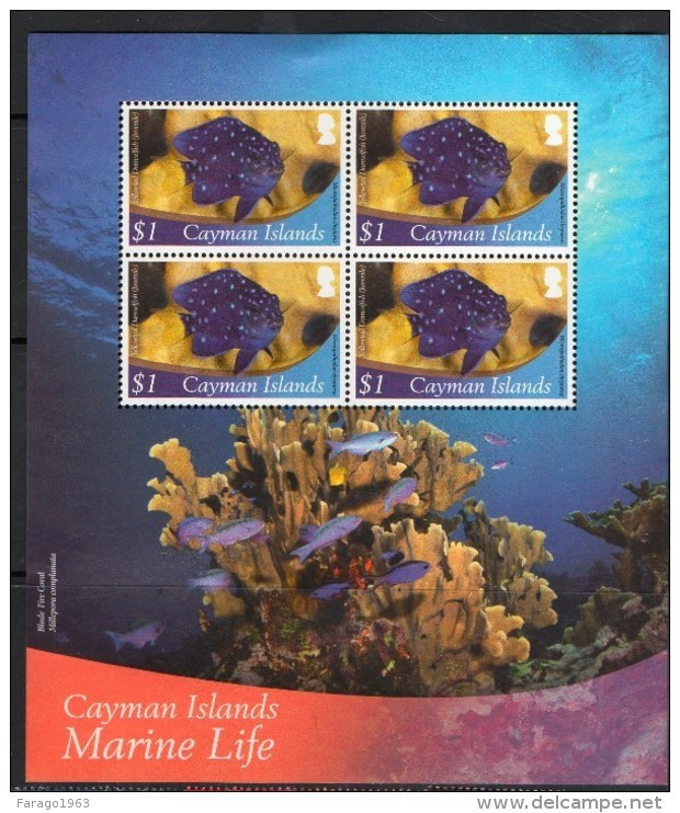 2012 Cayman Marine Life Fish **BANG BOTTOM LEFT ** Miniature Sheet Of 4  MNH - Cayman (Isole)