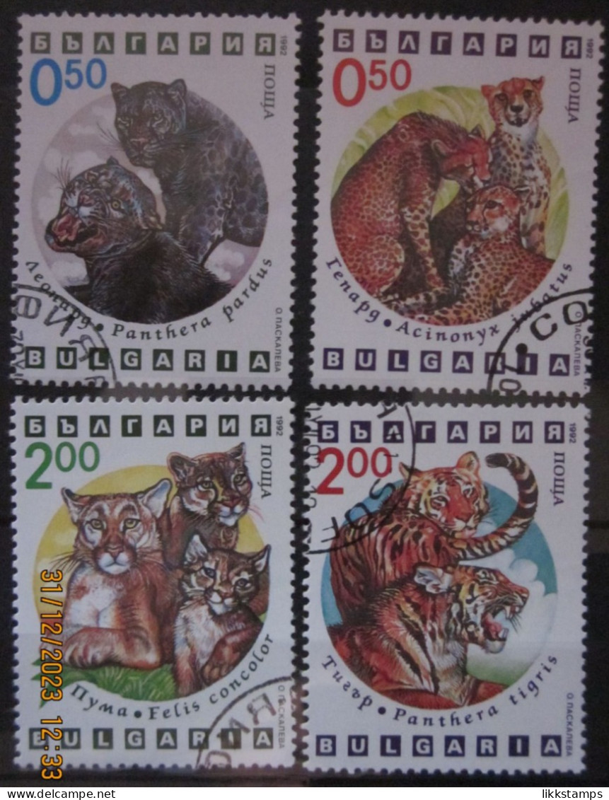 BULGARIA 1992 ~ S.G. 3880 - 3881 + 3883 - 3884, ~ BIG CATS. ~  VFU #02968 - Usados