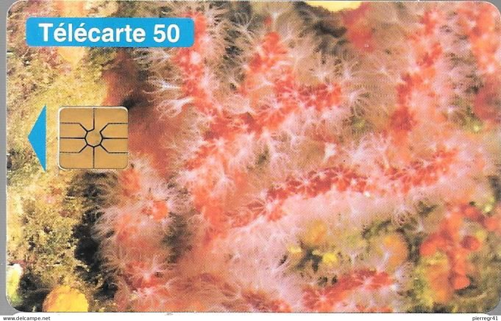 CARTE-PUBLIC-MONACO-50U-MF33-GEMA-01/95-Sans Logo-R° Glacé-PROTECTION DE LA NATURE-V° DN°Série B4B014001-TBE- - Mónaco