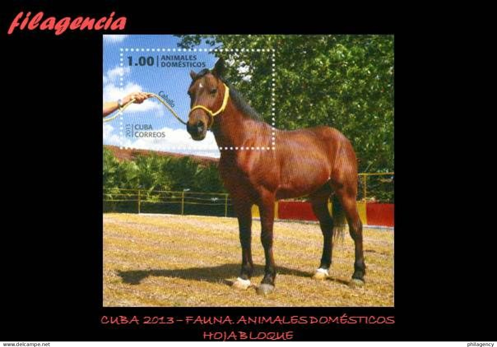 CUBA MINT. 2013-10 FAUNA. ANIMALES DOMÉSTICOS. HOJA BLOQUE - Nuevos