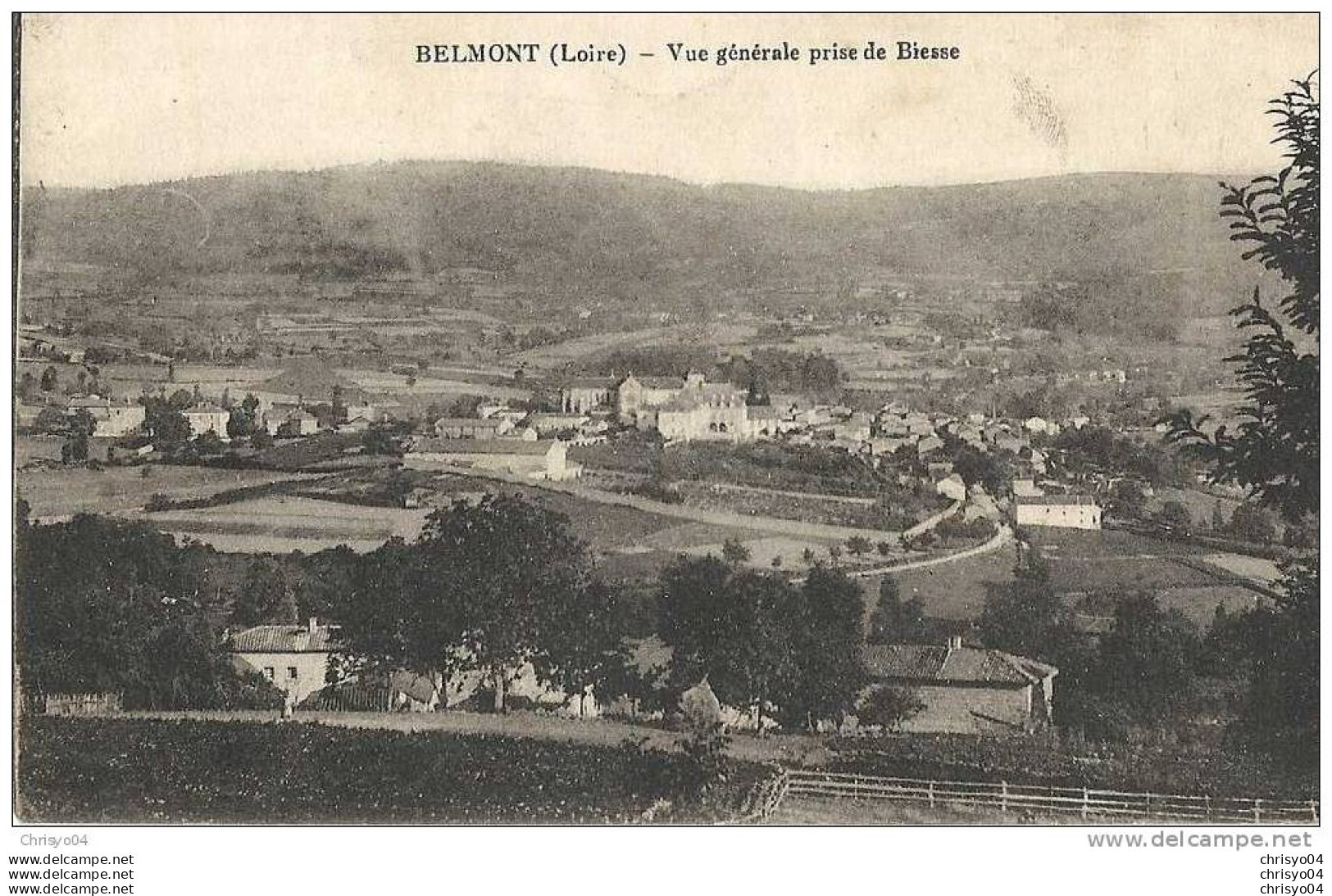 14ch    42 BELMONT VUE GENERALE PRISE DE LA BIESSE - Belmont De La Loire